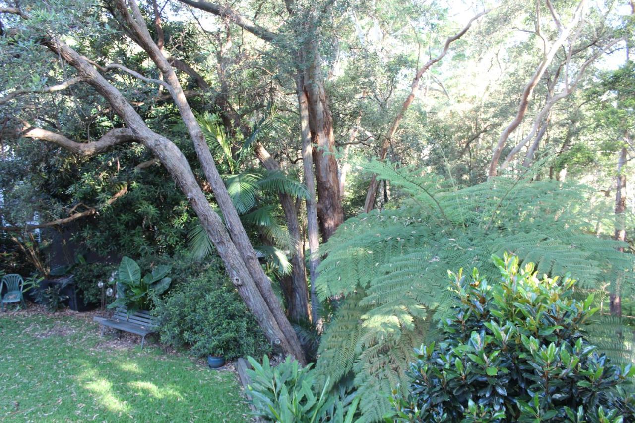 Bushland Setting Close To Sydney Cbd- Stand Alone Apartment Sidney Exterior foto